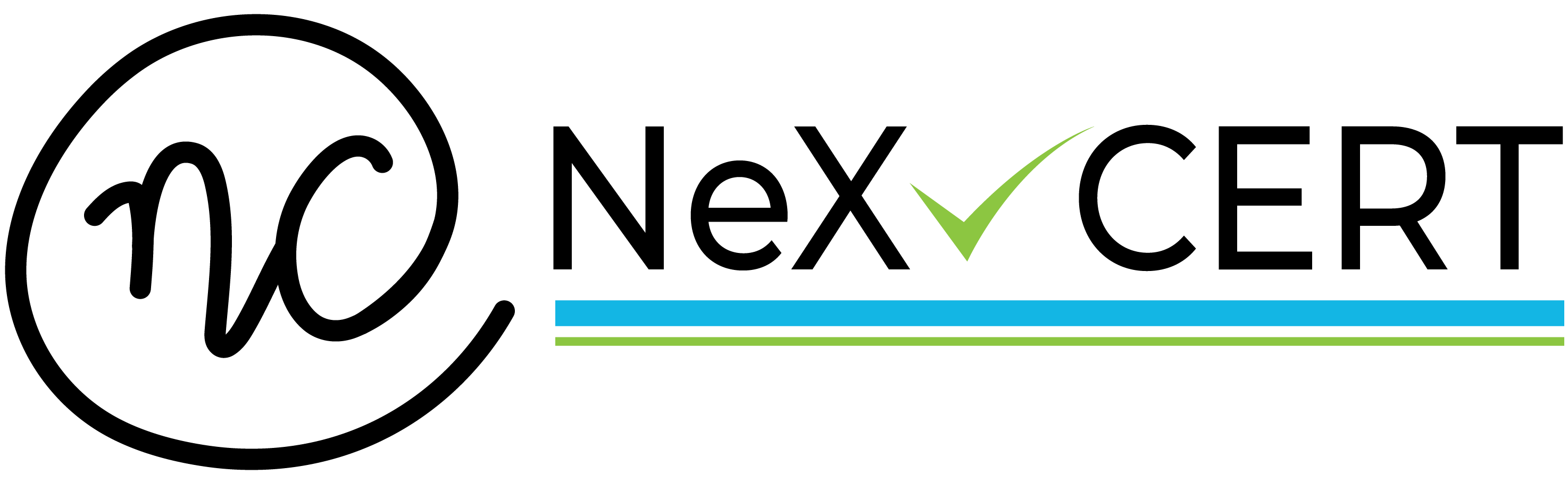 Logo Icon